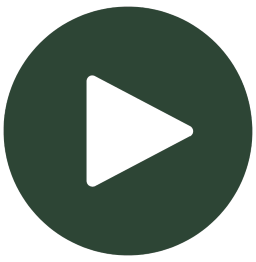 play icon