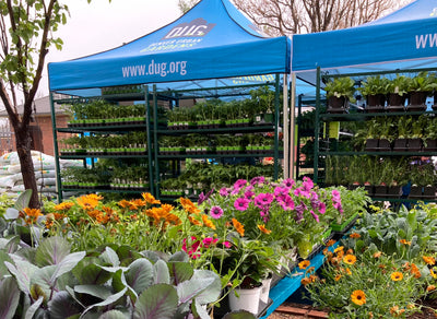 Growing Together: Farmers Defense Proudly Sponsors DUG’s Annual Spring Plant Sale
