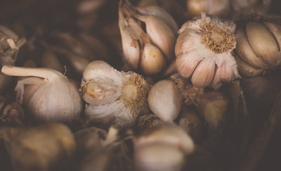 When to Harvest Garlic