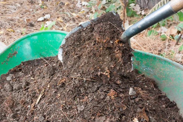 How to make your own Gardening Soil