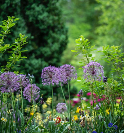 Planting a Sustainable Garden: A Complete Guide