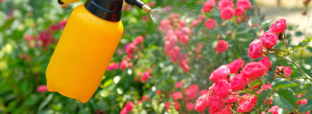 Making Your Own Homemade Pesticide