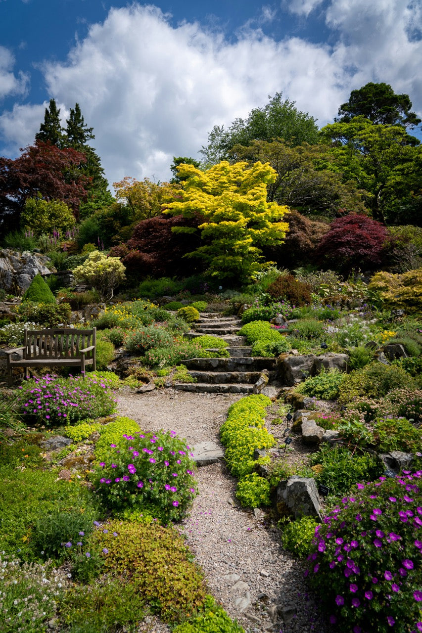 Master Your May Garden: Tips and Tricks for a Thriving Landscape