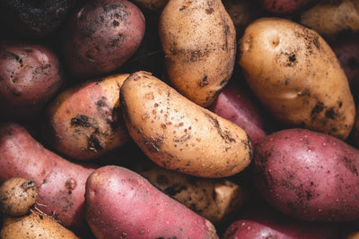 When to Harvest Potatoes