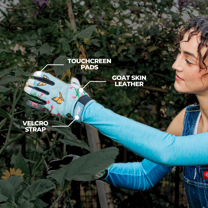 Monarch - Bundle - Protection Sleeves & Gloves