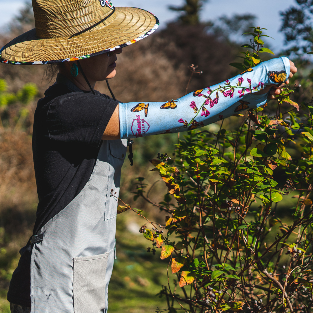 Protection Sleeves - Monarch