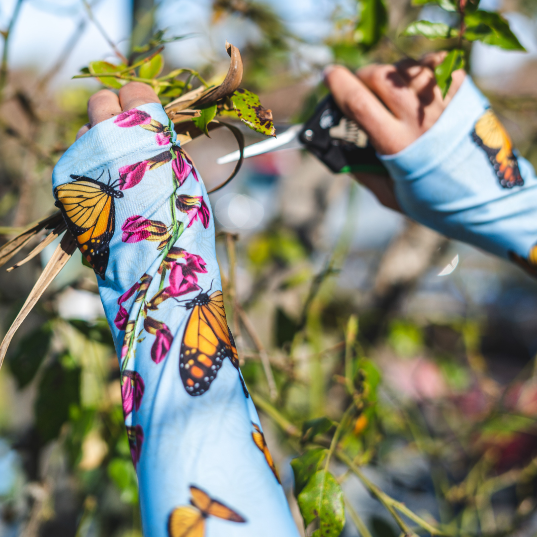 Protection Sleeves - Monarch